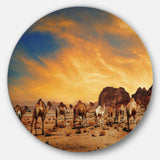 Camels in Wadi Rum - Landscape Photography Metal Circle Wall Art