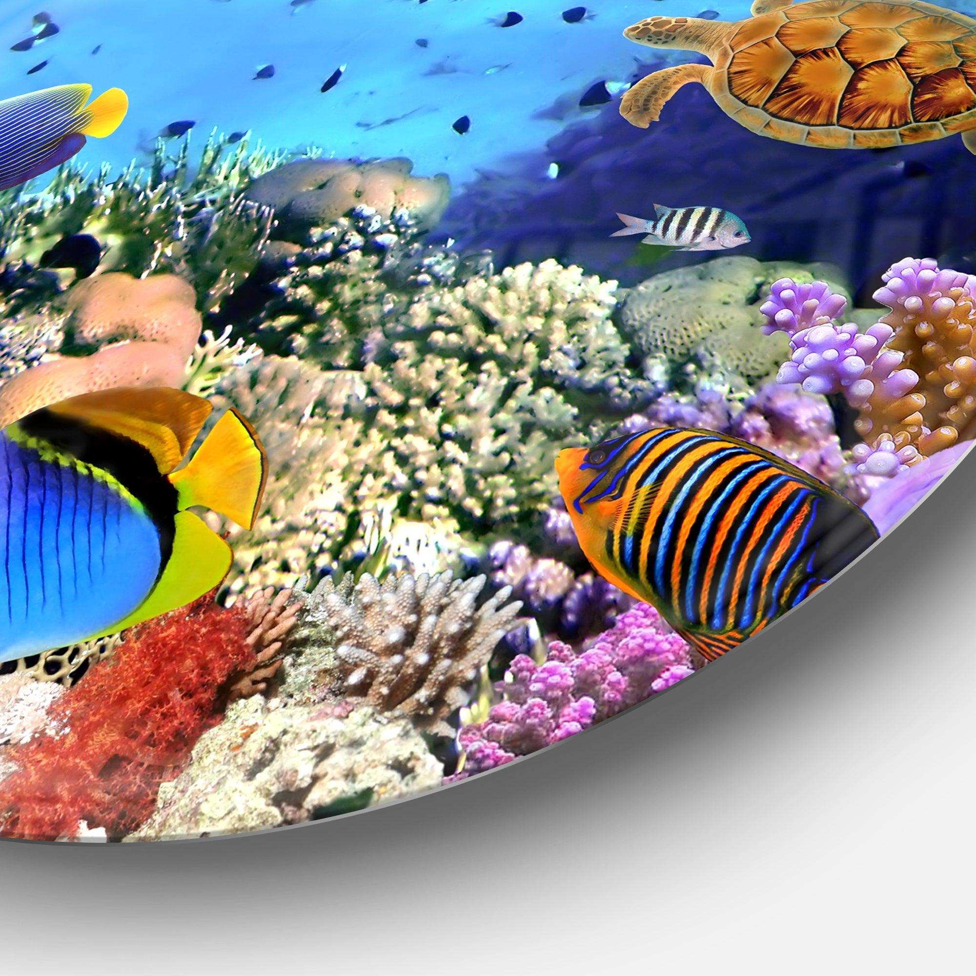 Coral Colony and Coral Fishes - Sea & Shore Metal Circle Wall Art