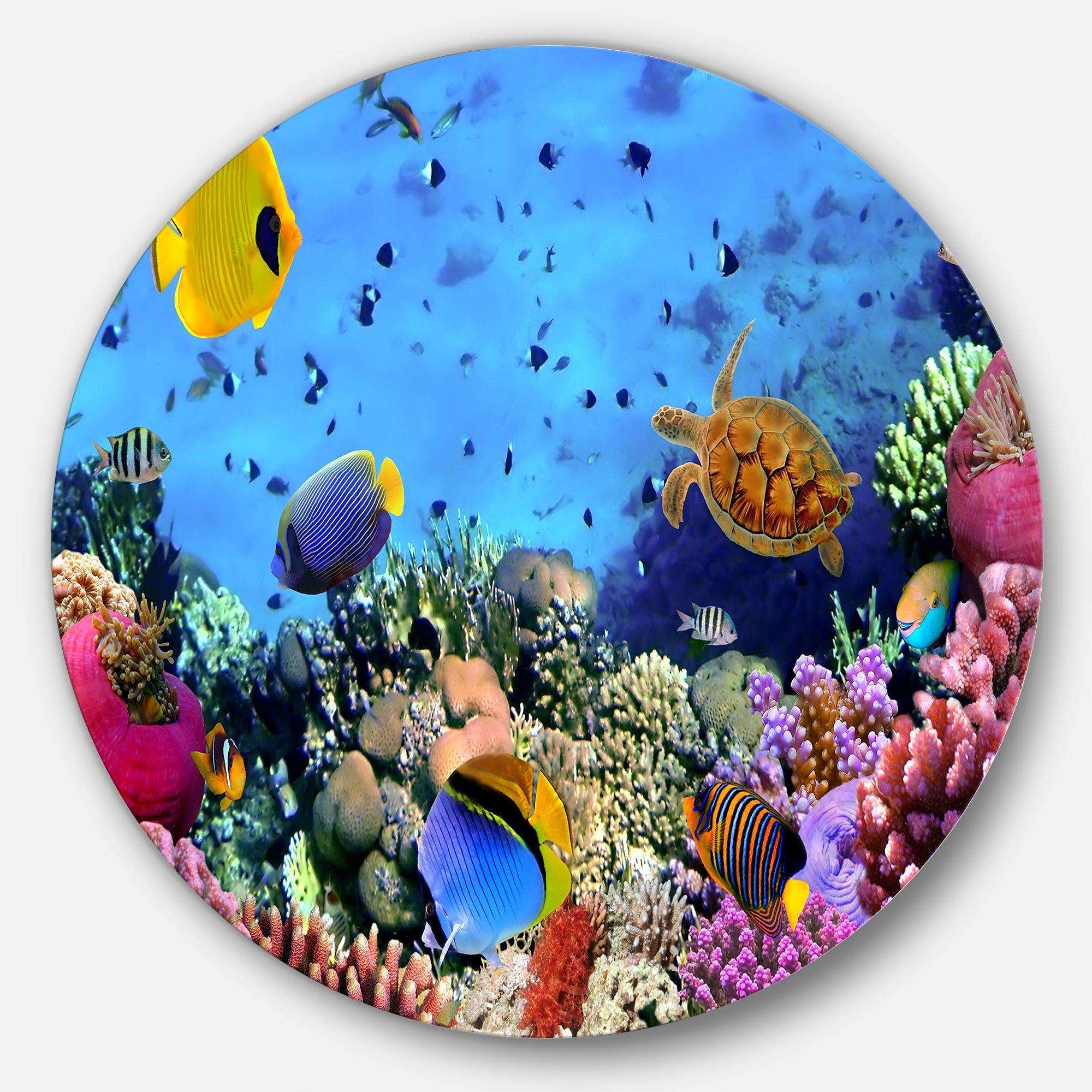 Coral Colony and Coral Fishes - Sea & Shore Metal Circle Wall Art