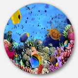 Coral Colony and Coral Fishes - Sea & Shore Metal Circle Wall Art