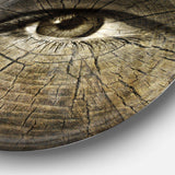 Aging Eyes - Abstract Circle Metal Wall Decor