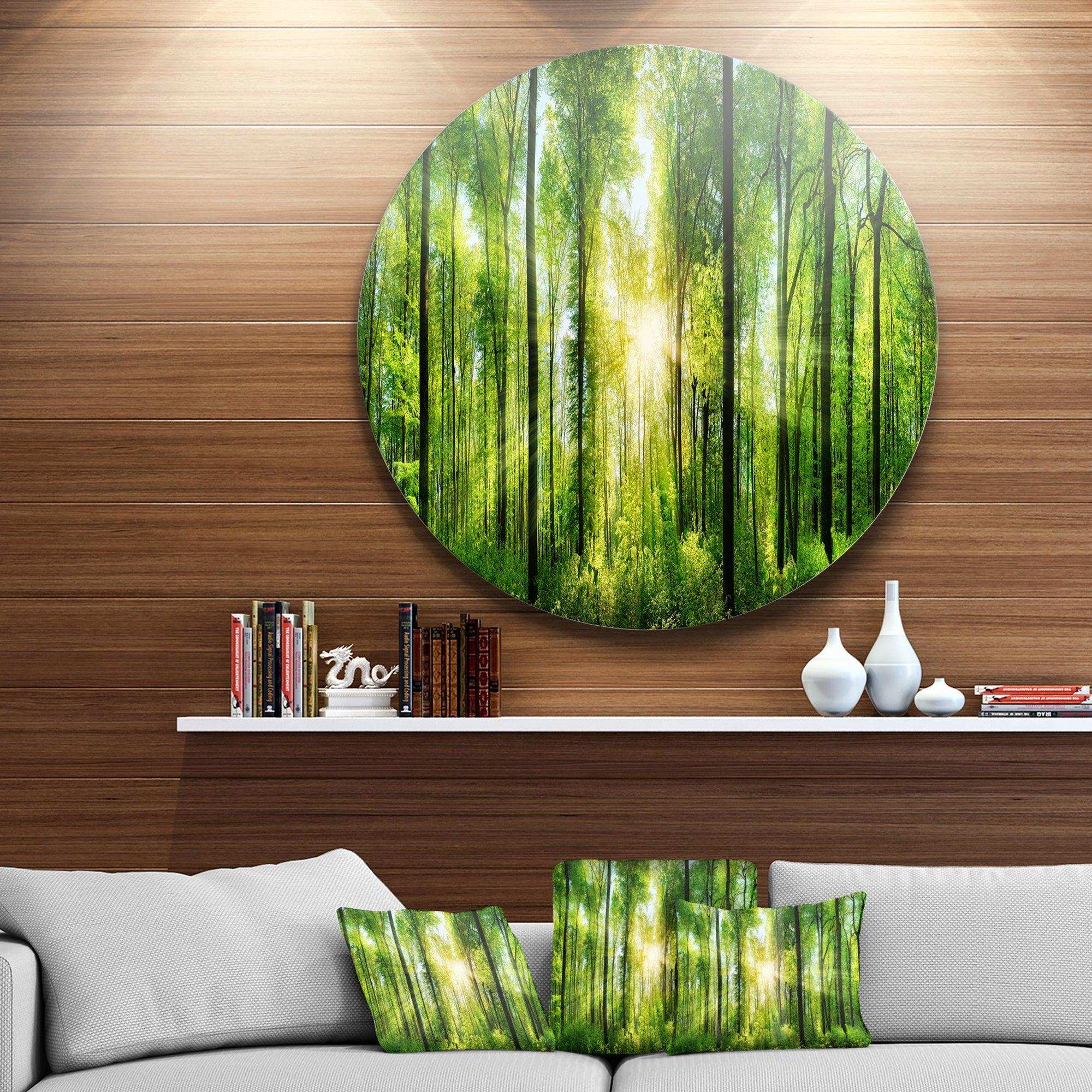 Forest with Rays of Sun Panorama - Landscape Oversized Circle Metal Wall Art