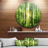 Forest with Rays of Sun Panorama - Landscape Oversized Circle Metal Wall Art