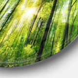 Forest with Rays of Sun Panorama - Landscape Oversized Circle Metal Wall Art