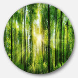 Forest with Rays of Sun Panorama - Landscape Oversized Circle Metal Wall Art