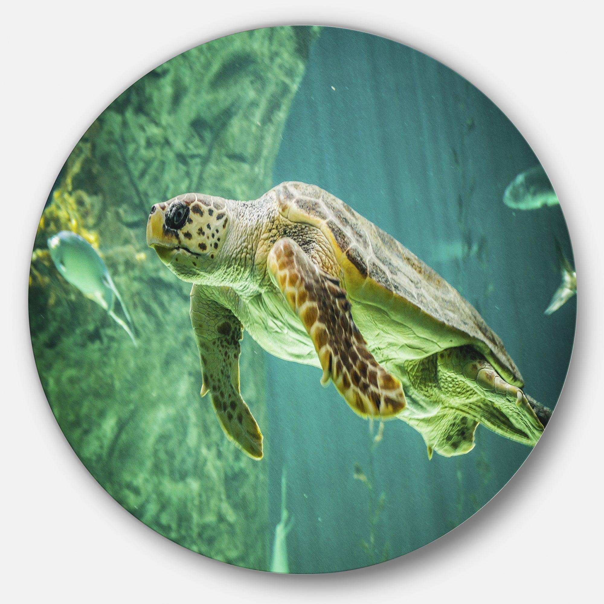 Huge Turtle Swimming - Animal Circle Metal Wall Decor