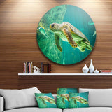 Huge Turtle Swimming - Animal Circle Metal Wall Decor
