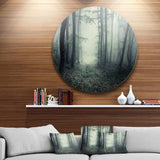 Trail Through Dark Forest - Landscape Round Metal Wall Art