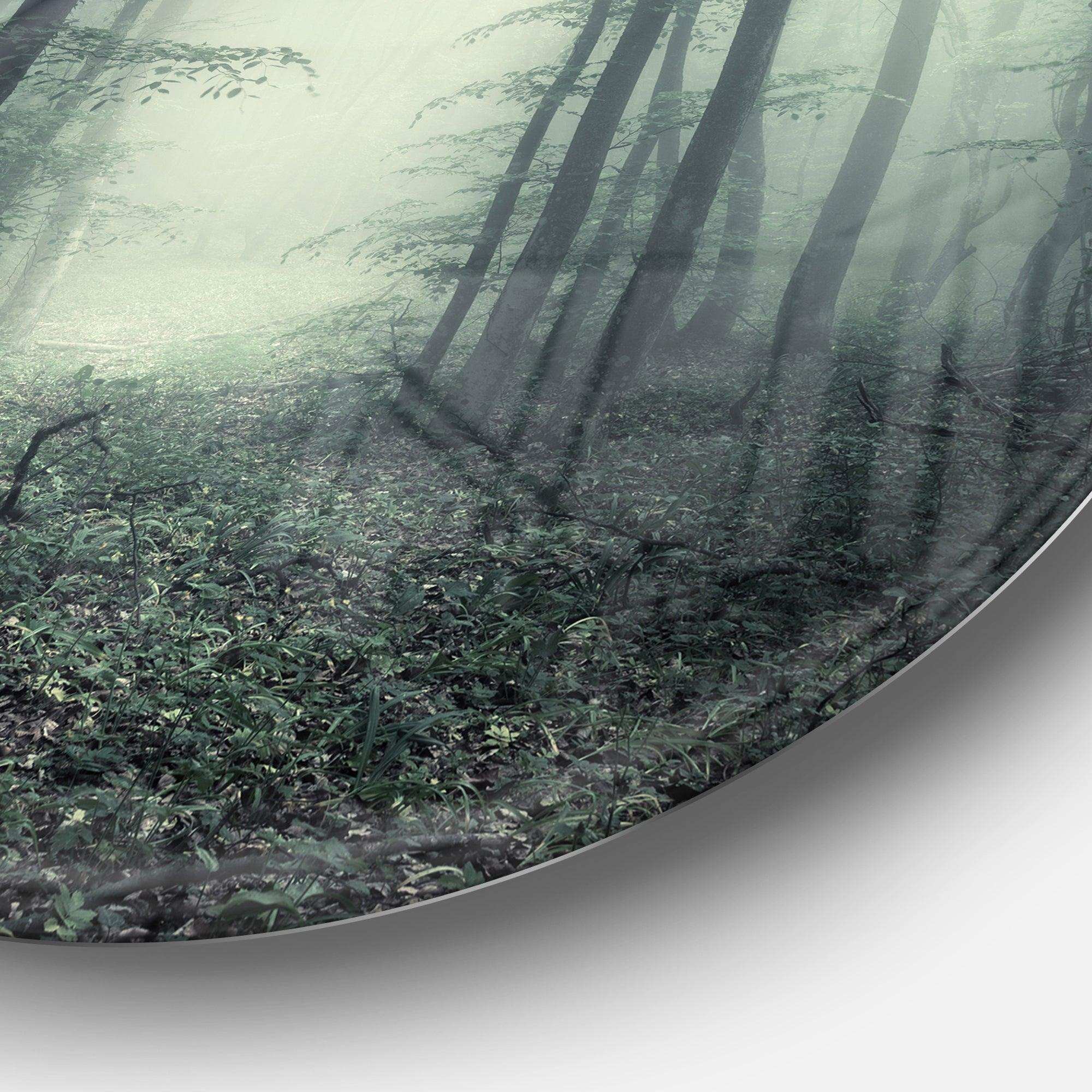 Trail Through Dark Forest - Landscape Round Metal Wall Art