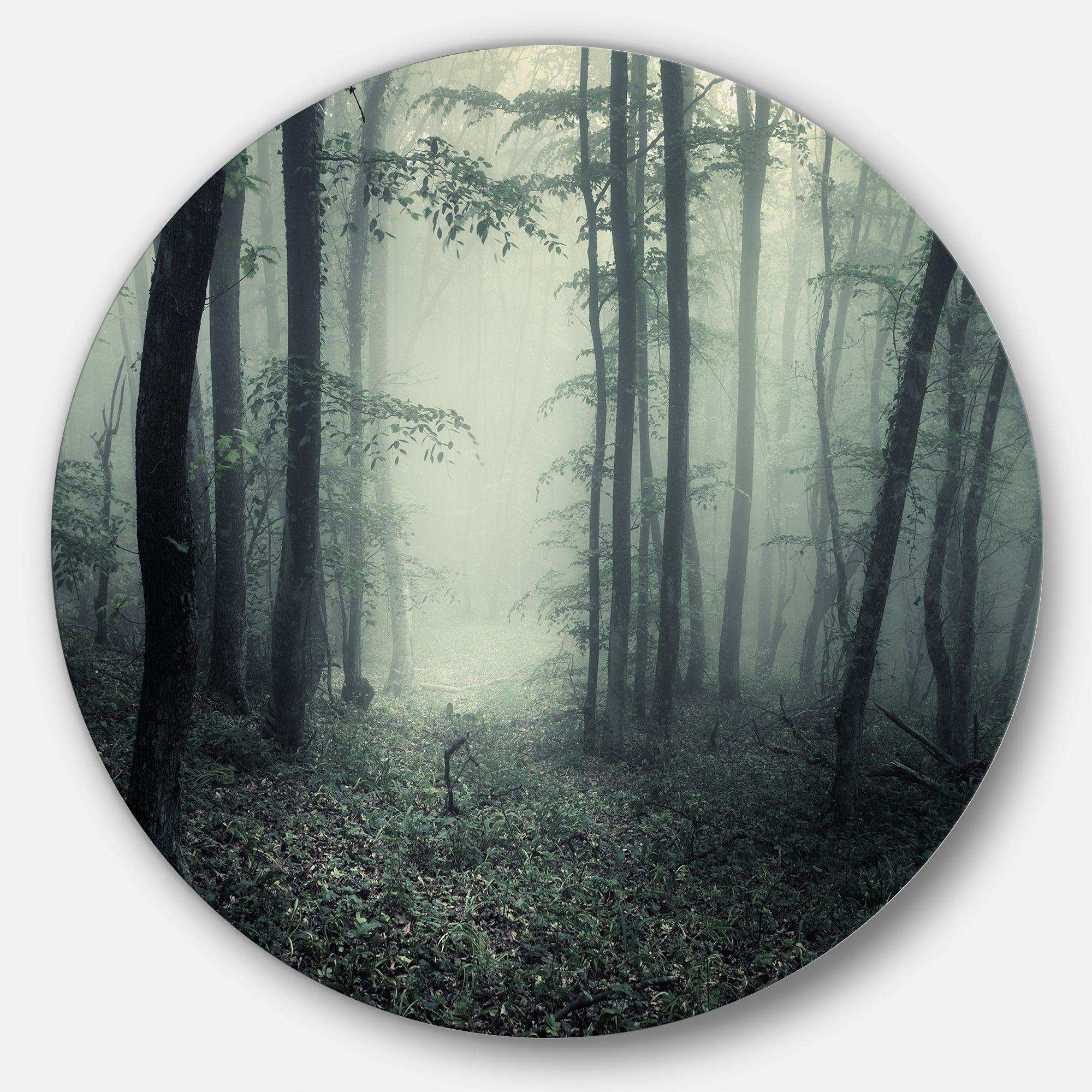 Trail Through Dark Forest - Landscape Round Metal Wall Art