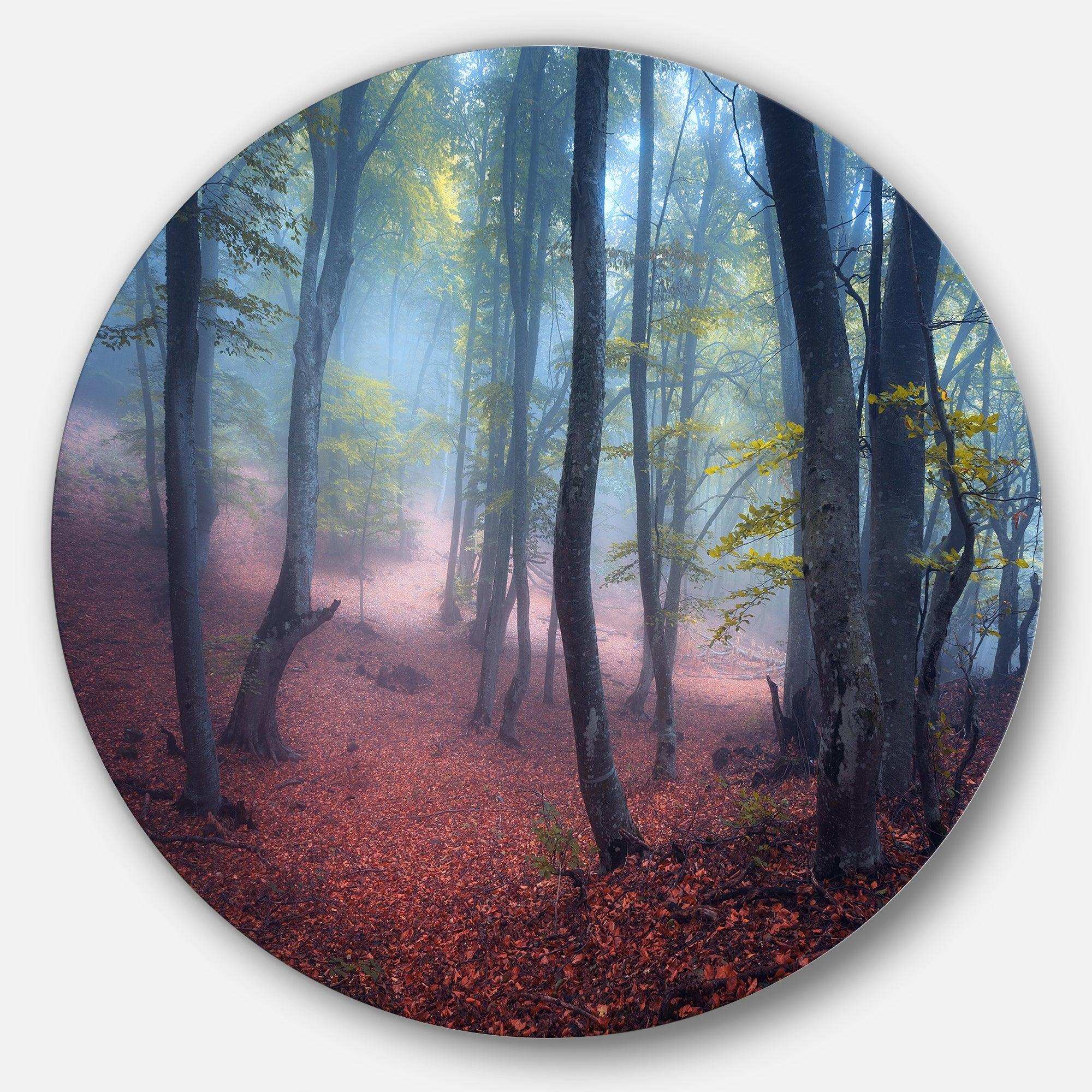 Mysterious Fairytale Green Wood - Landscape Photography Circle Metal Wall Decor