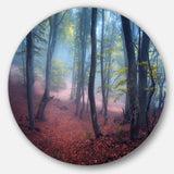 Mysterious Fairytale Green Wood - Landscape Photography Circle Metal Wall Decor
