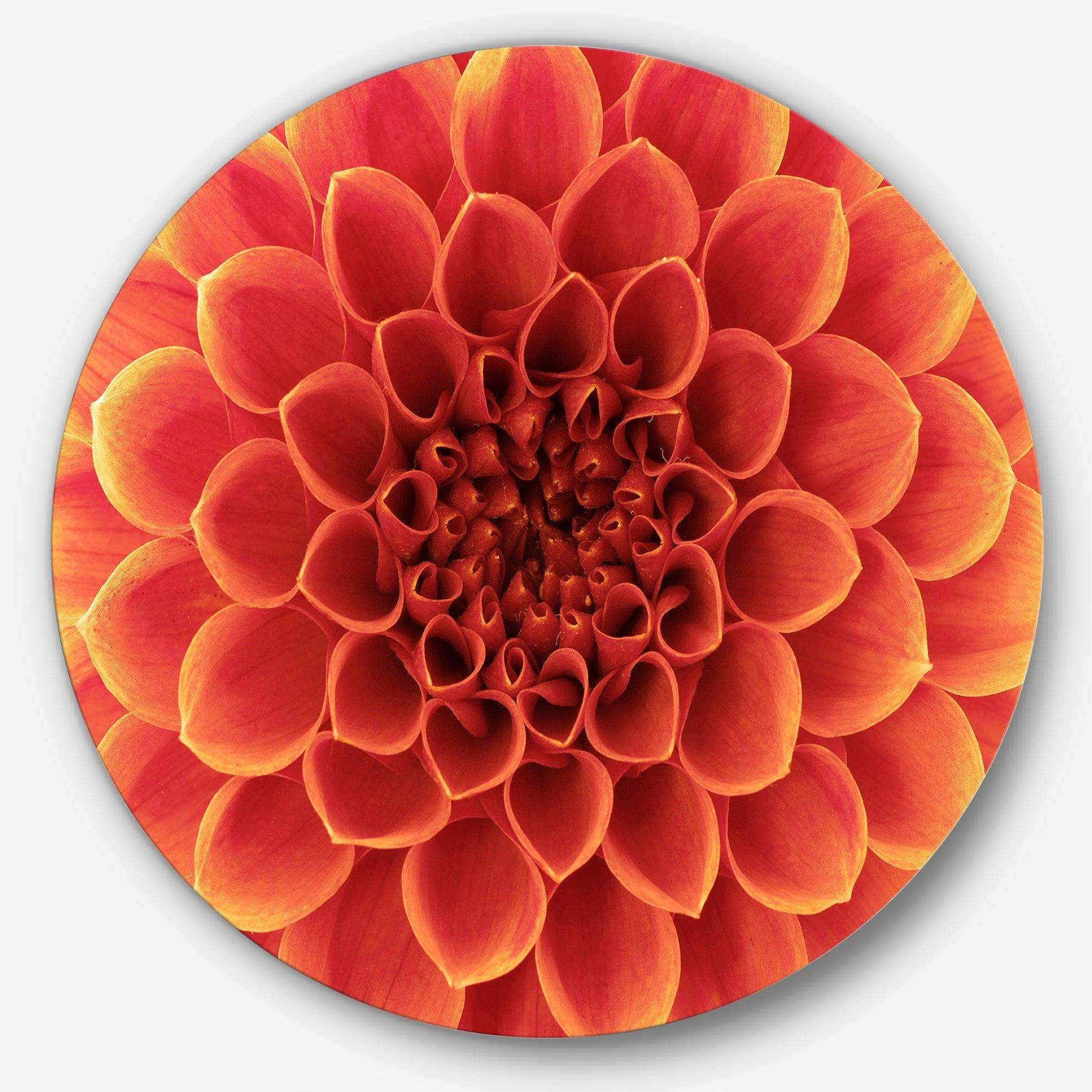 Brown Flower with Dense Petals - Floral Round Metal Wall Art