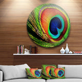 Peacock Feather - Animal Photography Circle Metal Wall Decor