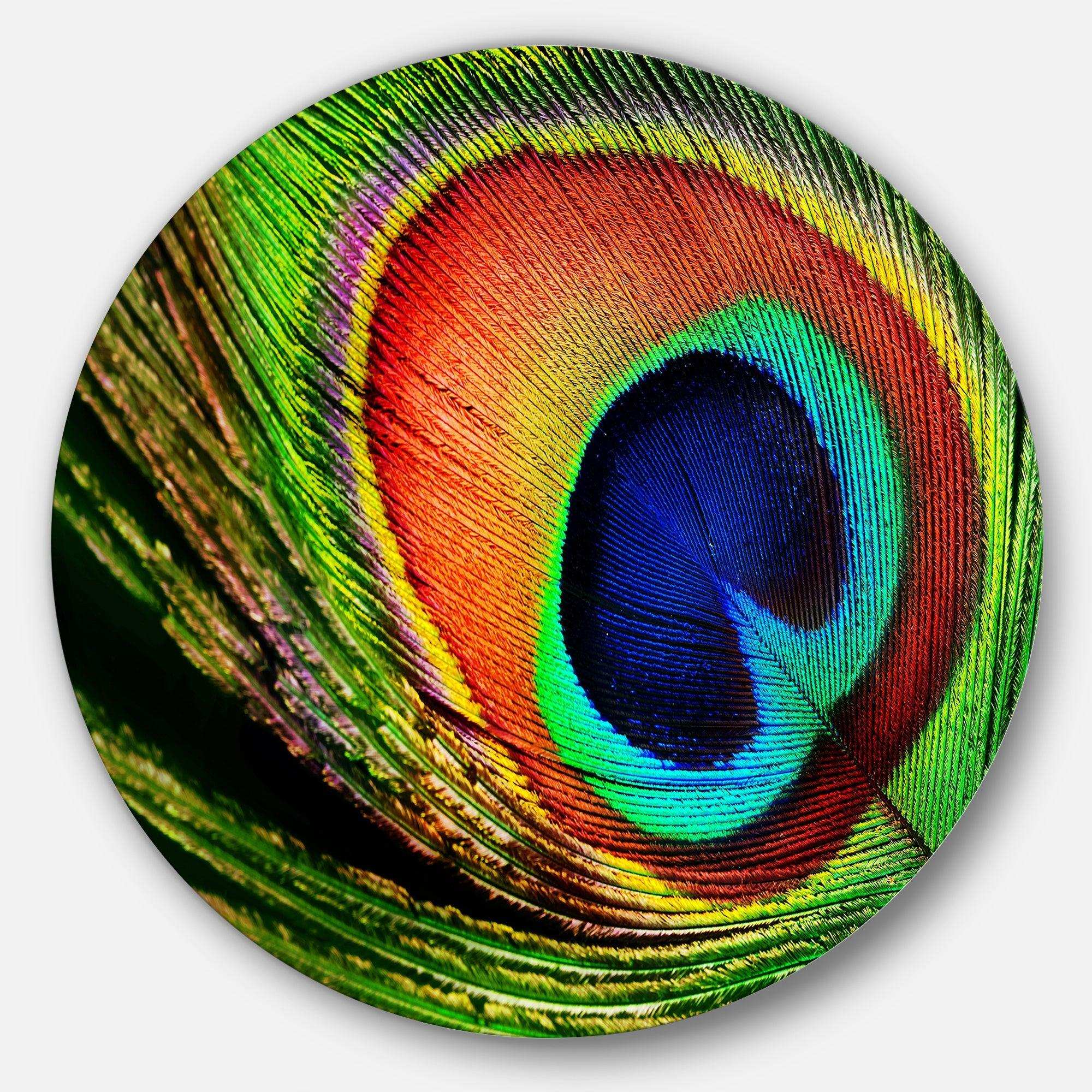 Peacock Feather - Animal Photography Circle Metal Wall Decor