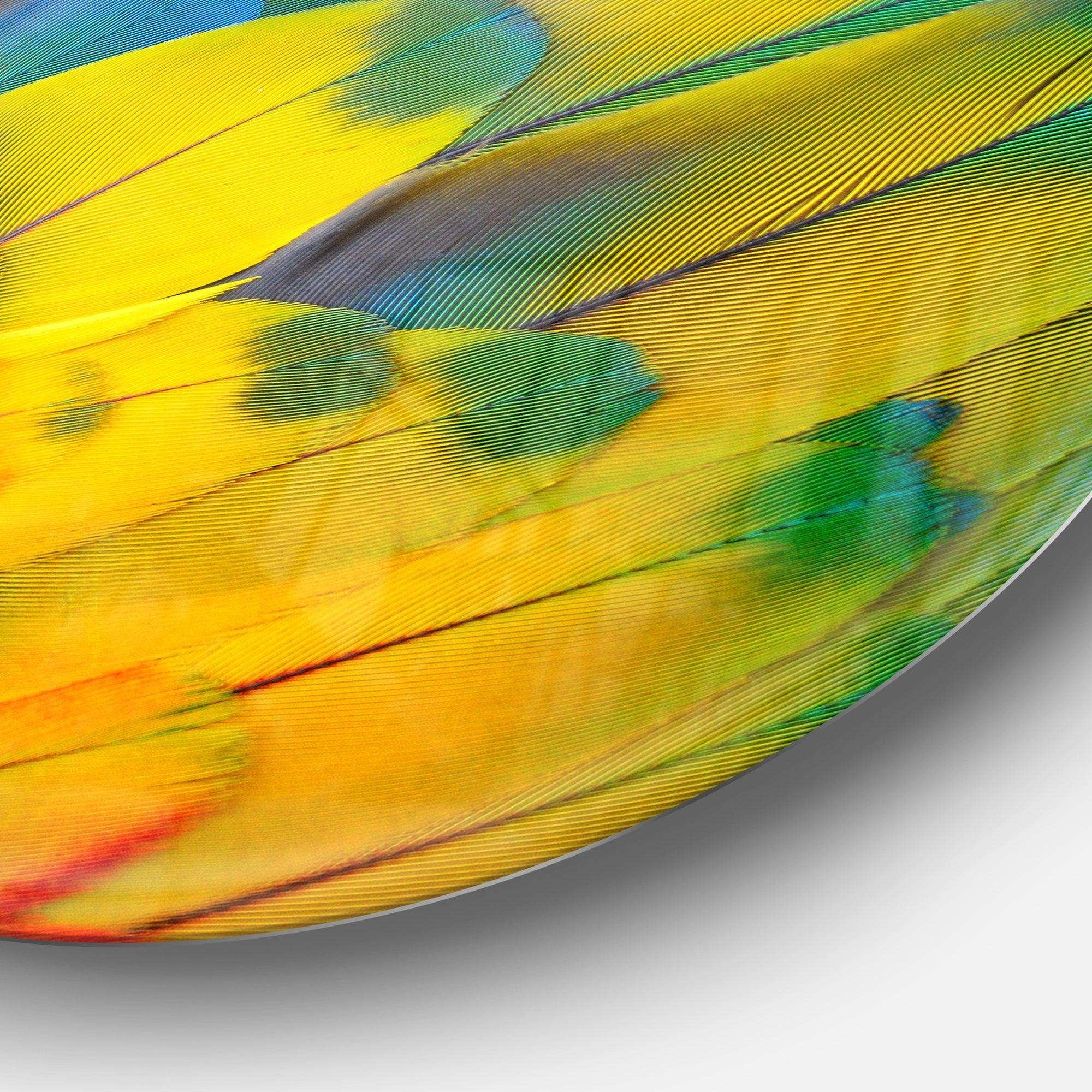 Scarlet Macaw Feathers - Floral Photography Circle Metal Wall Decor