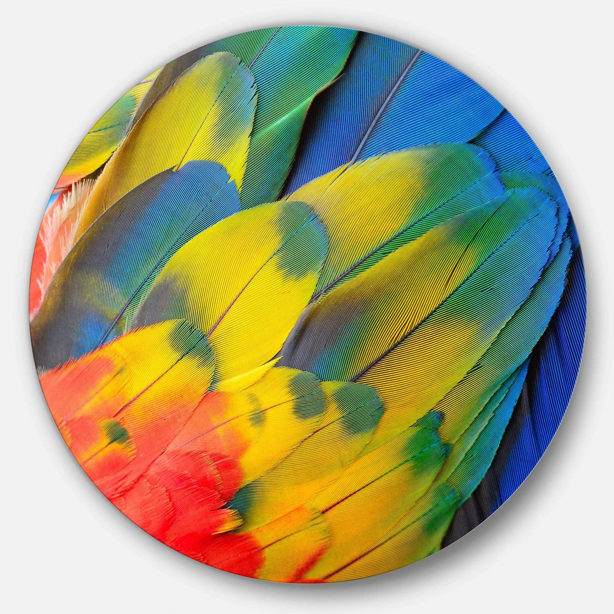Scarlet Macaw Feathers - Floral Photography Circle Metal Wall Decor