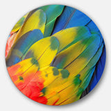 Scarlet Macaw Feathers - Floral Photography Circle Metal Wall Decor