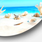 Seashells on Tropical Beach - Sea & Shore Circle Metal Wall Decor
