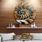 Brown Large Nautilus Shell - Abstract Circle Metal Wall Decor