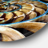 Brown Large Nautilus Shell - Abstract Circle Metal Wall Decor