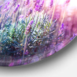 Growing and Blooming Lavender - Floral Oversized Circle Metal Wall Art