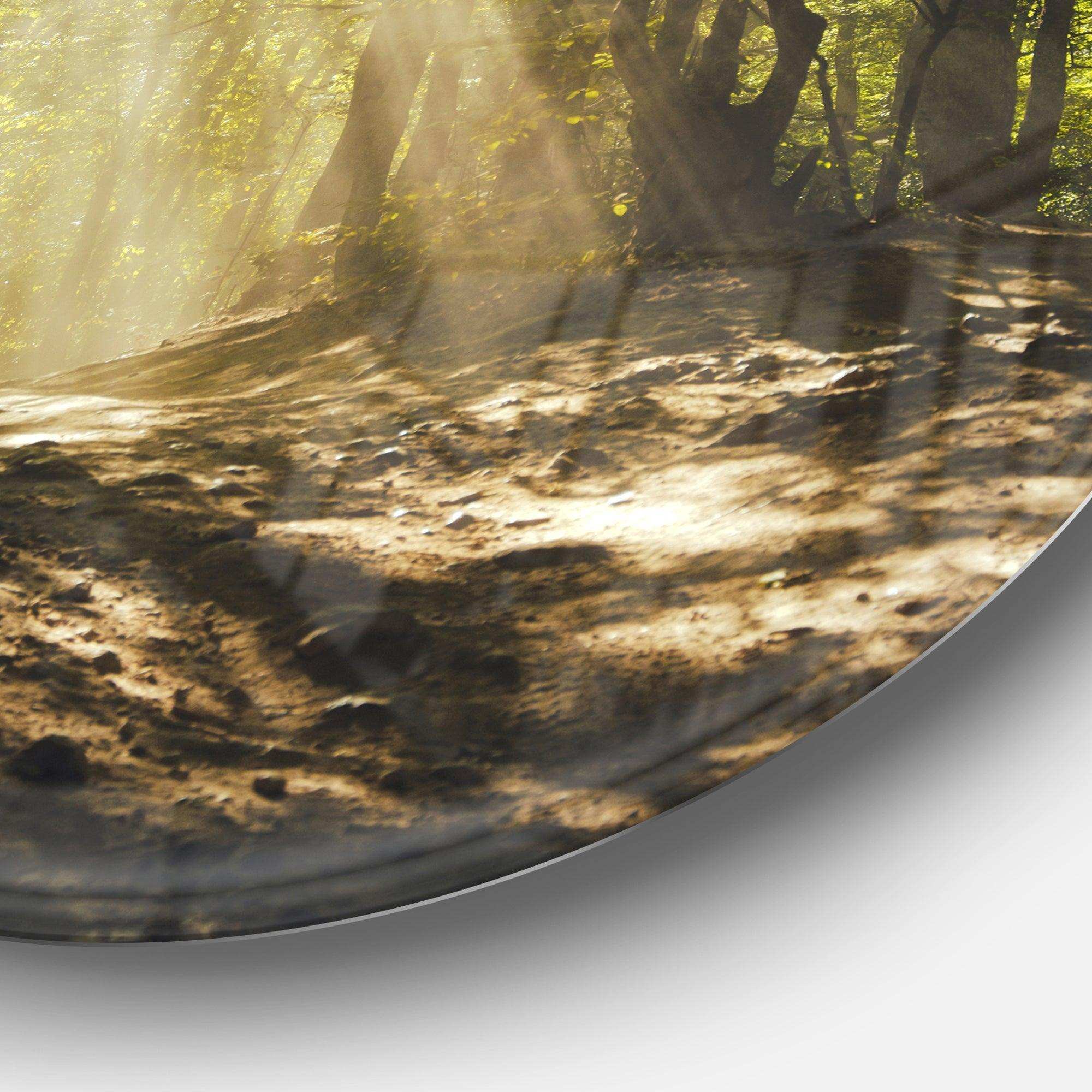 Sun Rays Through Green Trees - Landscape Photography Circle Metal Wall Decor