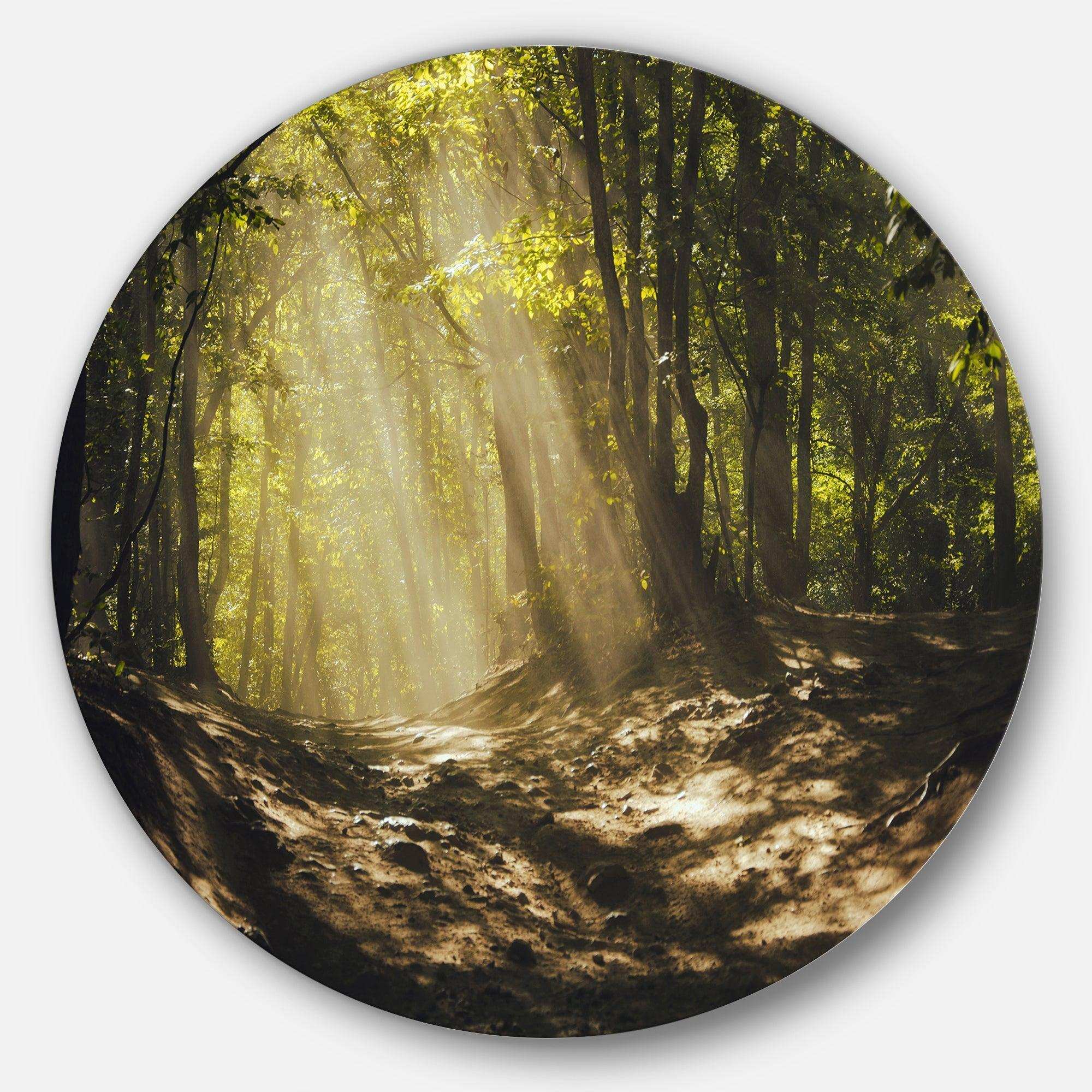 Sun Rays Through Green Trees - Landscape Photography Circle Metal Wall Decor