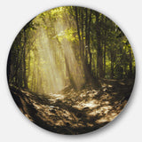 Sun Rays Through Green Trees - Landscape Photography Circle Metal Wall Decor