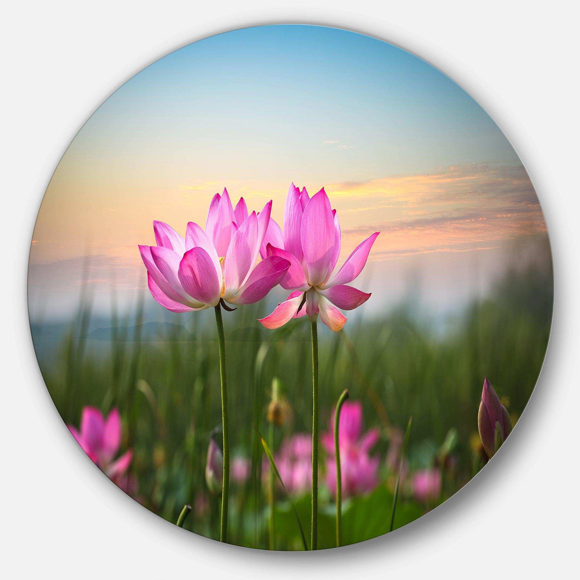 Blooming Lotus Flowers at Sunset - Floral Circle Metal Wall Decor