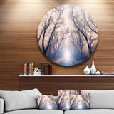 Mysterious Sunlight in Forest - Landscape Circle Metal Wall Decor