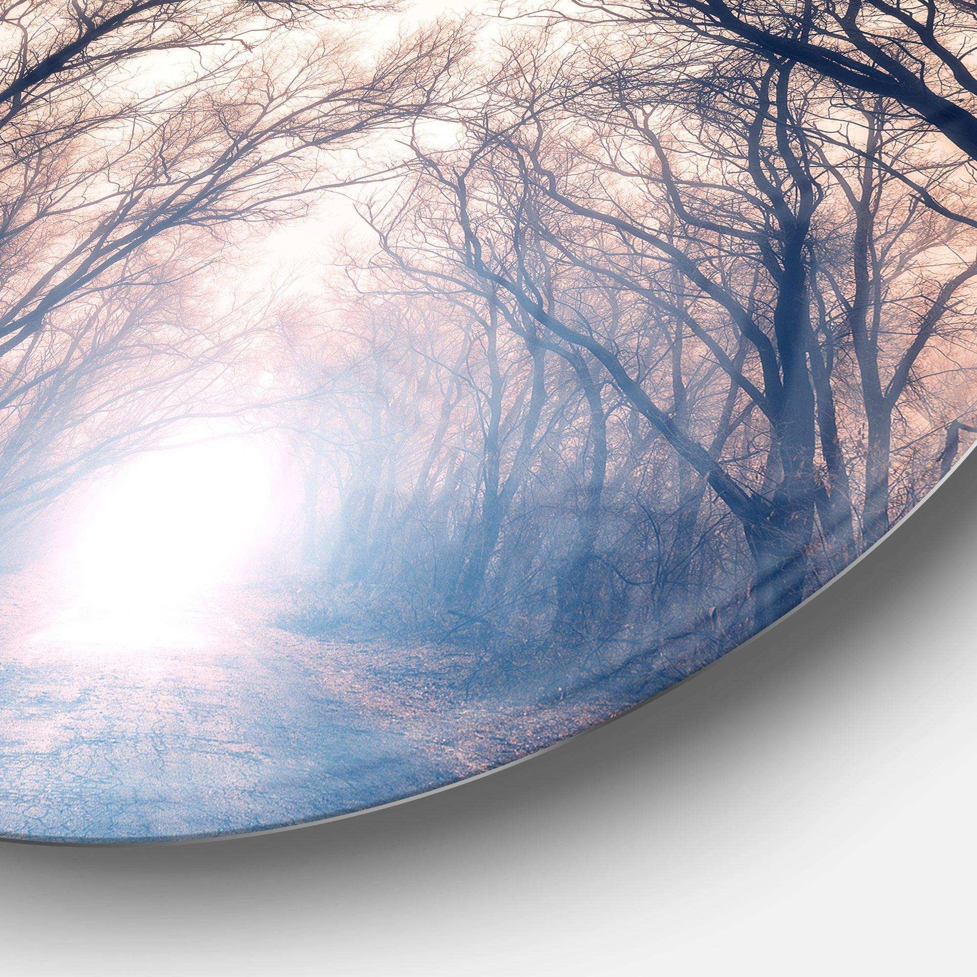 Mysterious Sunlight in Forest - Landscape Circle Metal Wall Decor