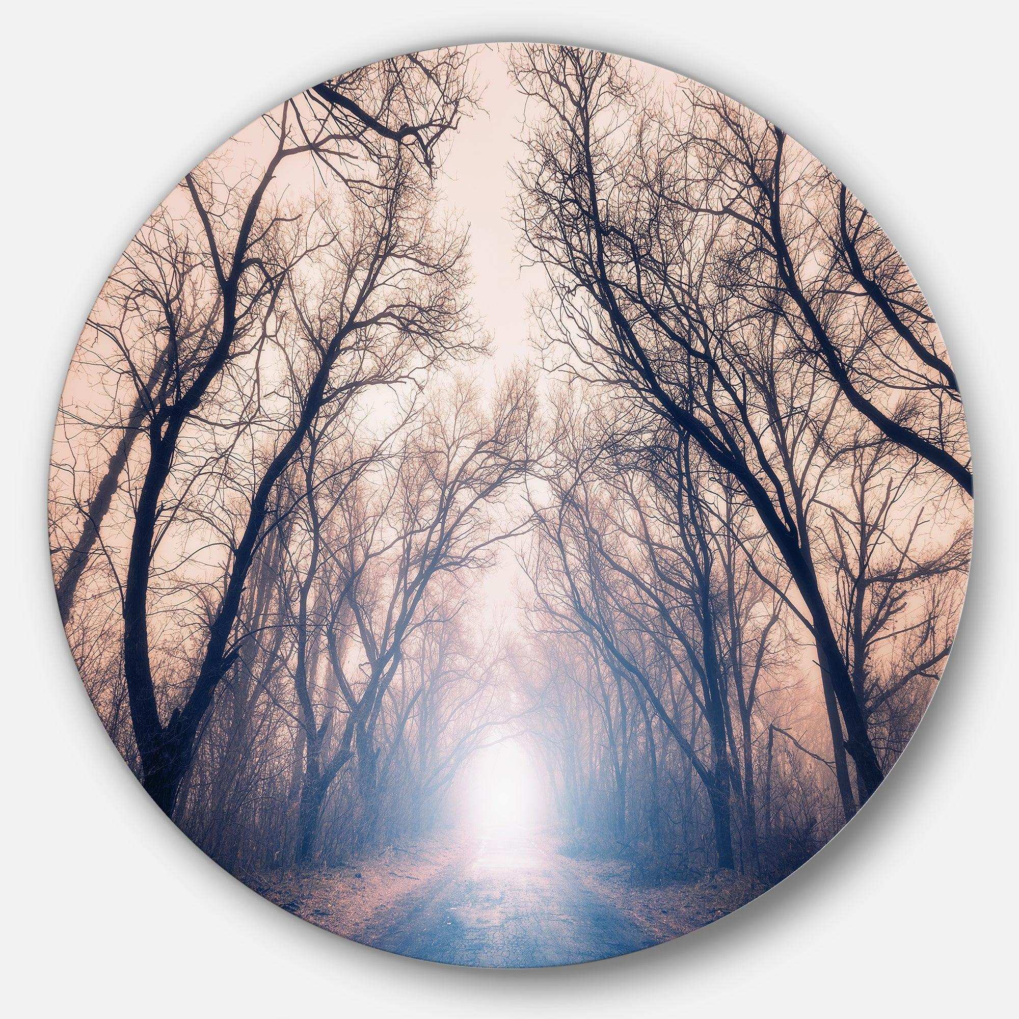 Mysterious Sunlight in Forest - Landscape Circle Metal Wall Decor
