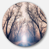 Mysterious Sunlight in Forest - Landscape Circle Metal Wall Decor