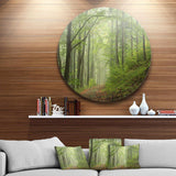 Early Green Fall Forest - Landscape Round Metal Wall Art