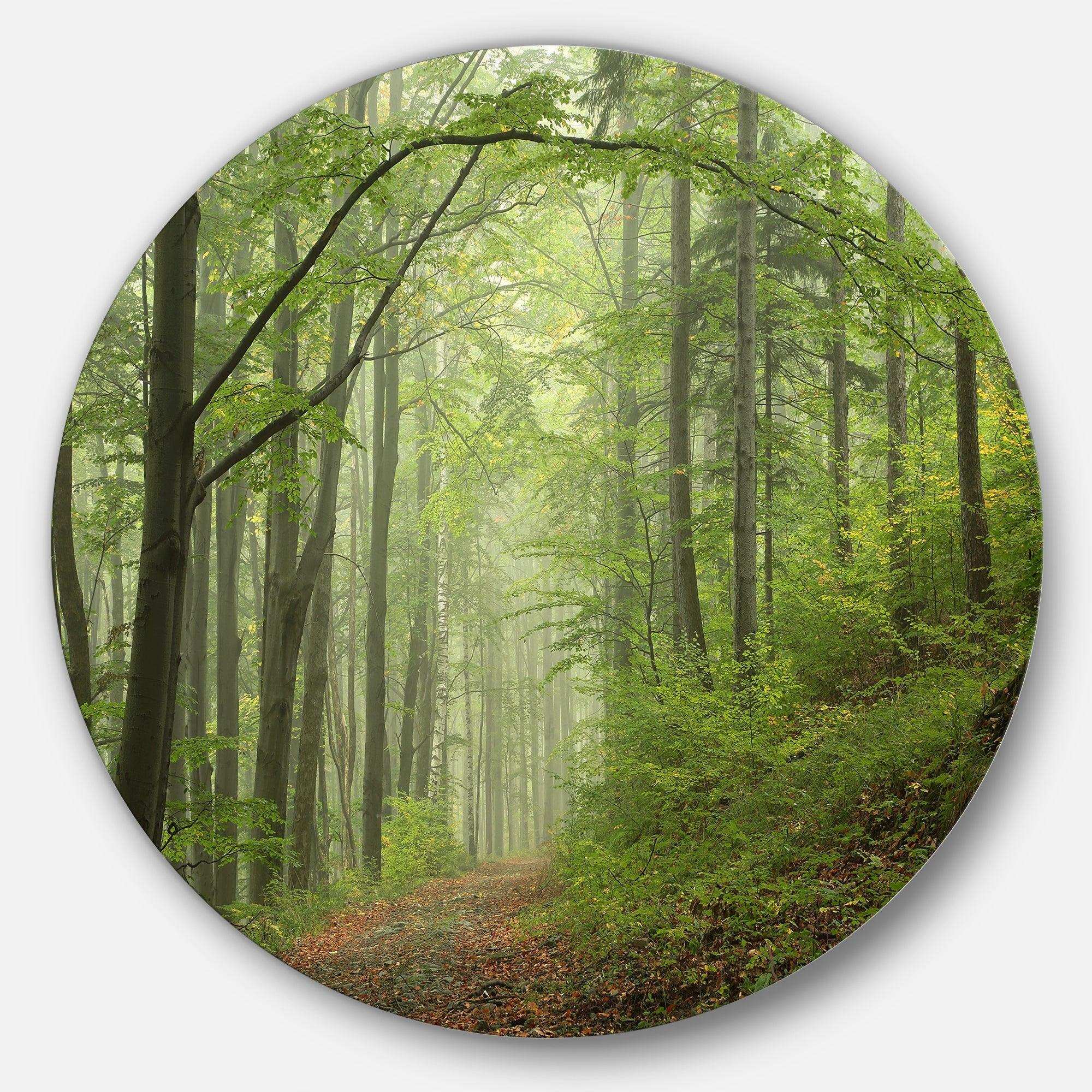 Early Green Fall Forest - Landscape Round Metal Wall Art