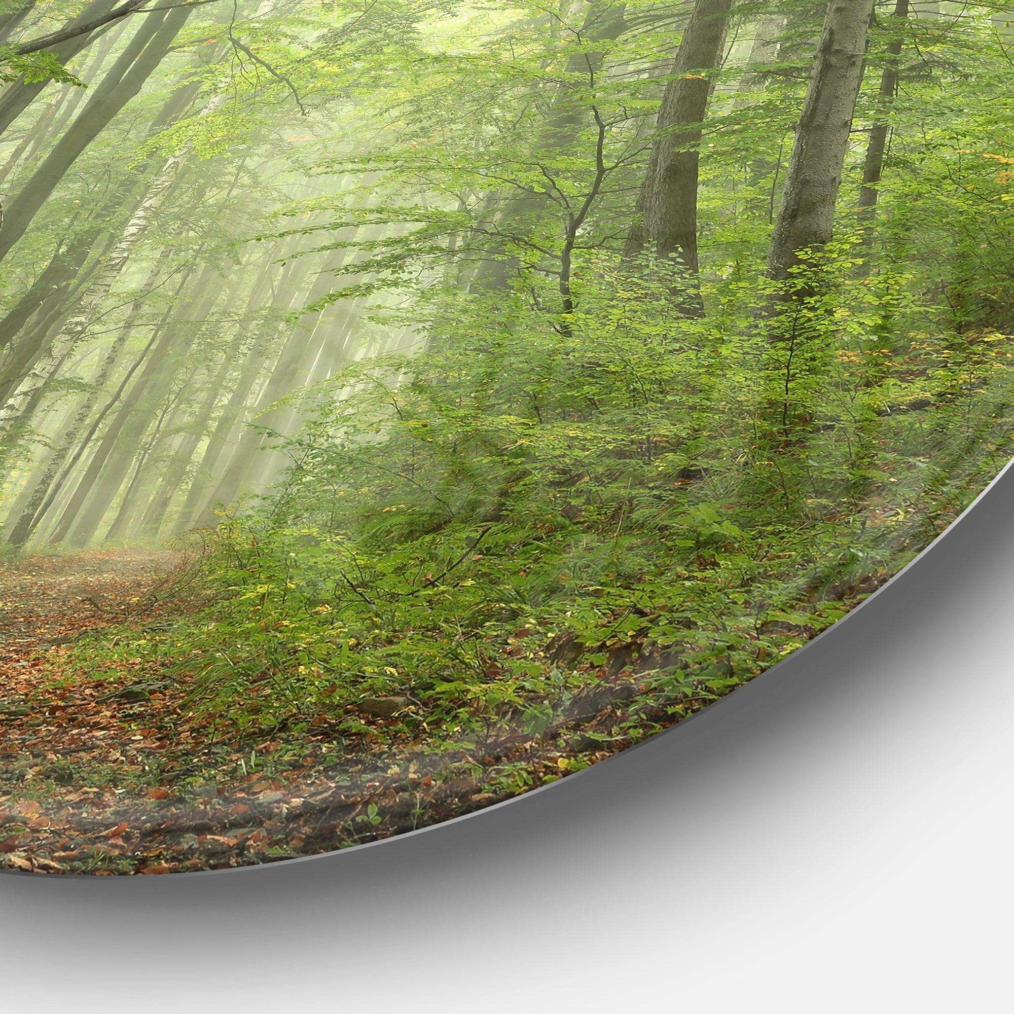 Early Green Fall Forest - Landscape Round Metal Wall Art
