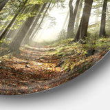 Green Fall Forest with Sun Rays - Landscape Photography Circle Metal Wall Decor