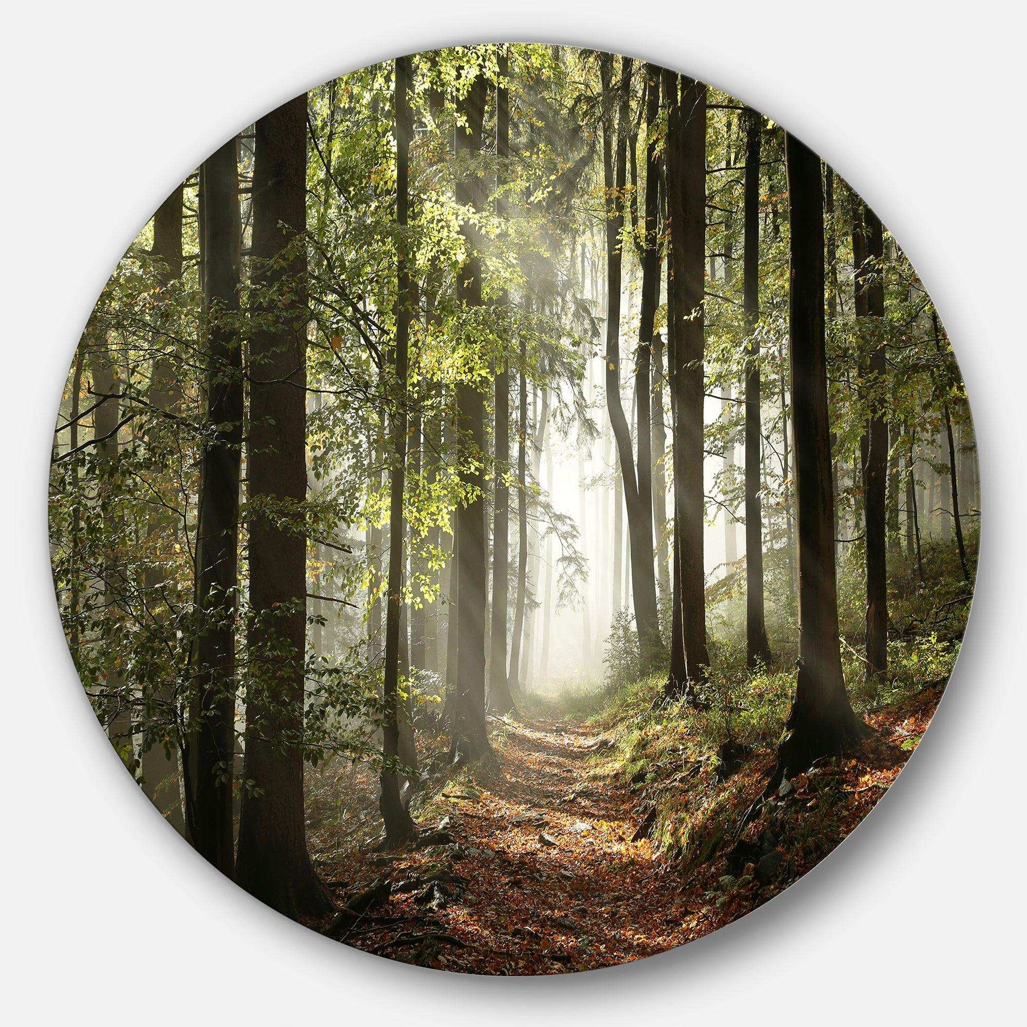 Green Fall Forest with Sun Rays - Landscape Photography Circle Metal Wall Decor