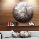 Lonely Tree Holding the Moon - Landscape Metal Circle Wall Art