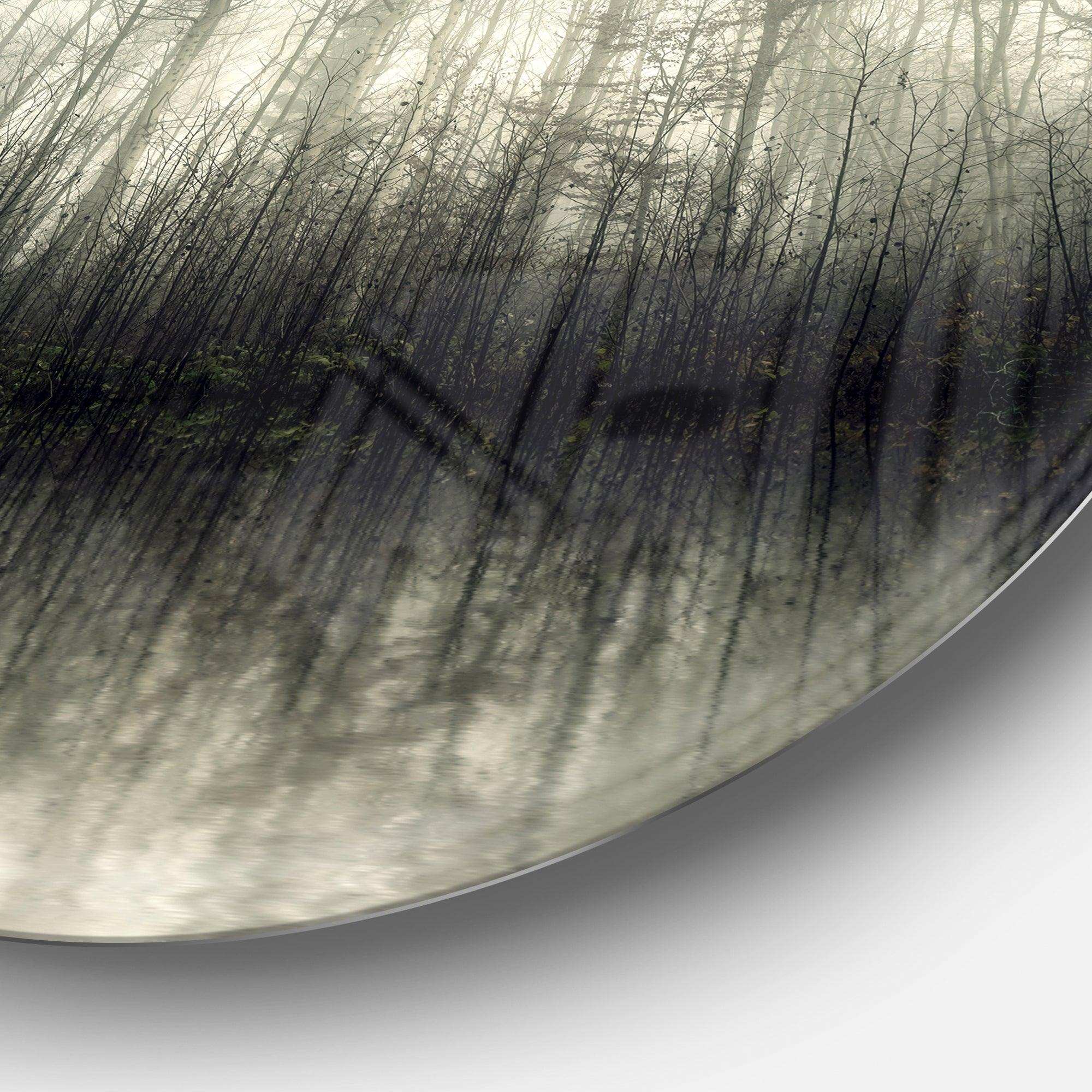 Beautiful Gray Forest in Germany - Landscape Circle Metal Wall Decor