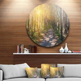 Thick Forest with Yellow Sun Rays - Landscape Round Metal Wall Art