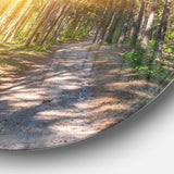 Thick Forest with Yellow Sun Rays - Landscape Round Metal Wall Art