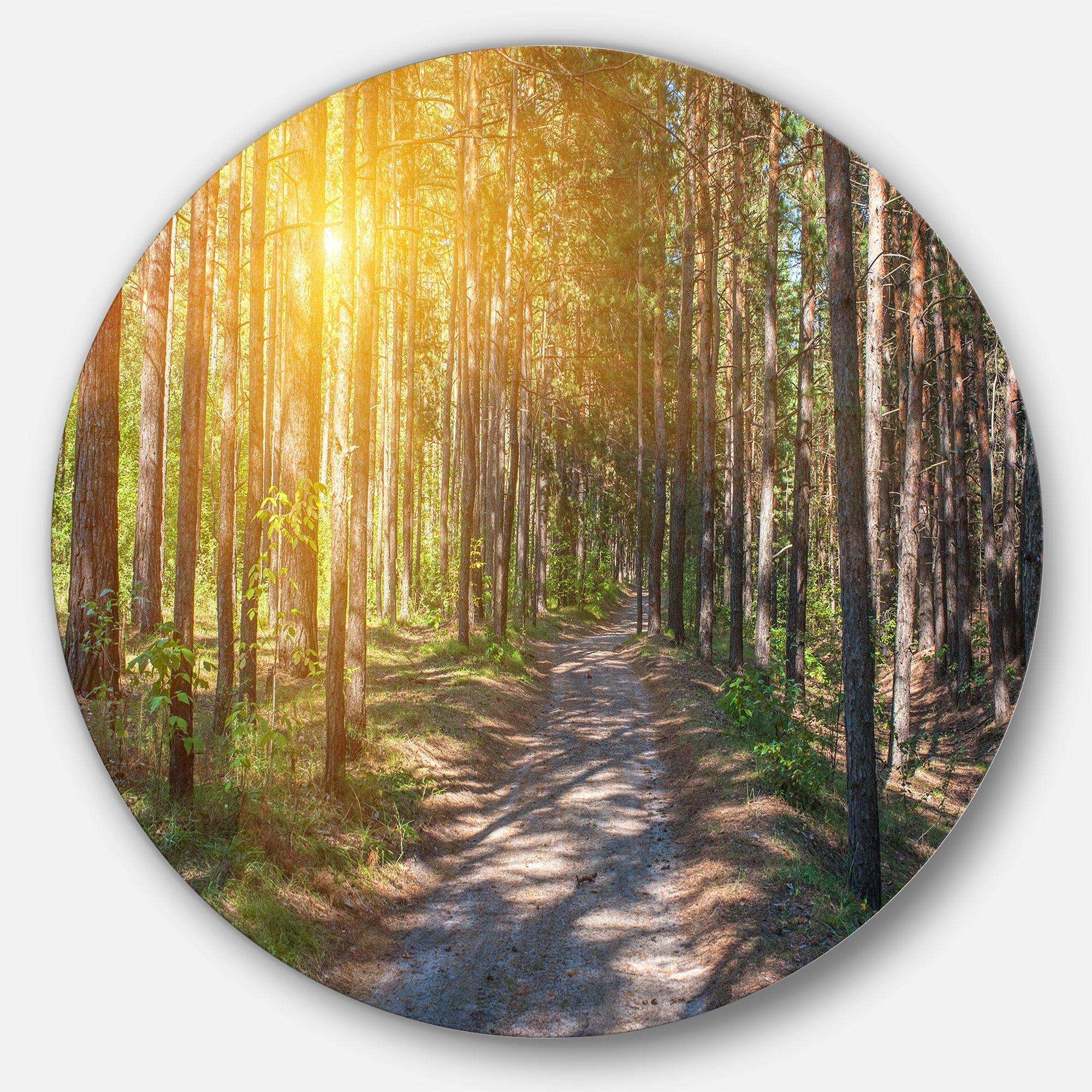 Thick Forest with Yellow Sun Rays - Landscape Round Metal Wall Art