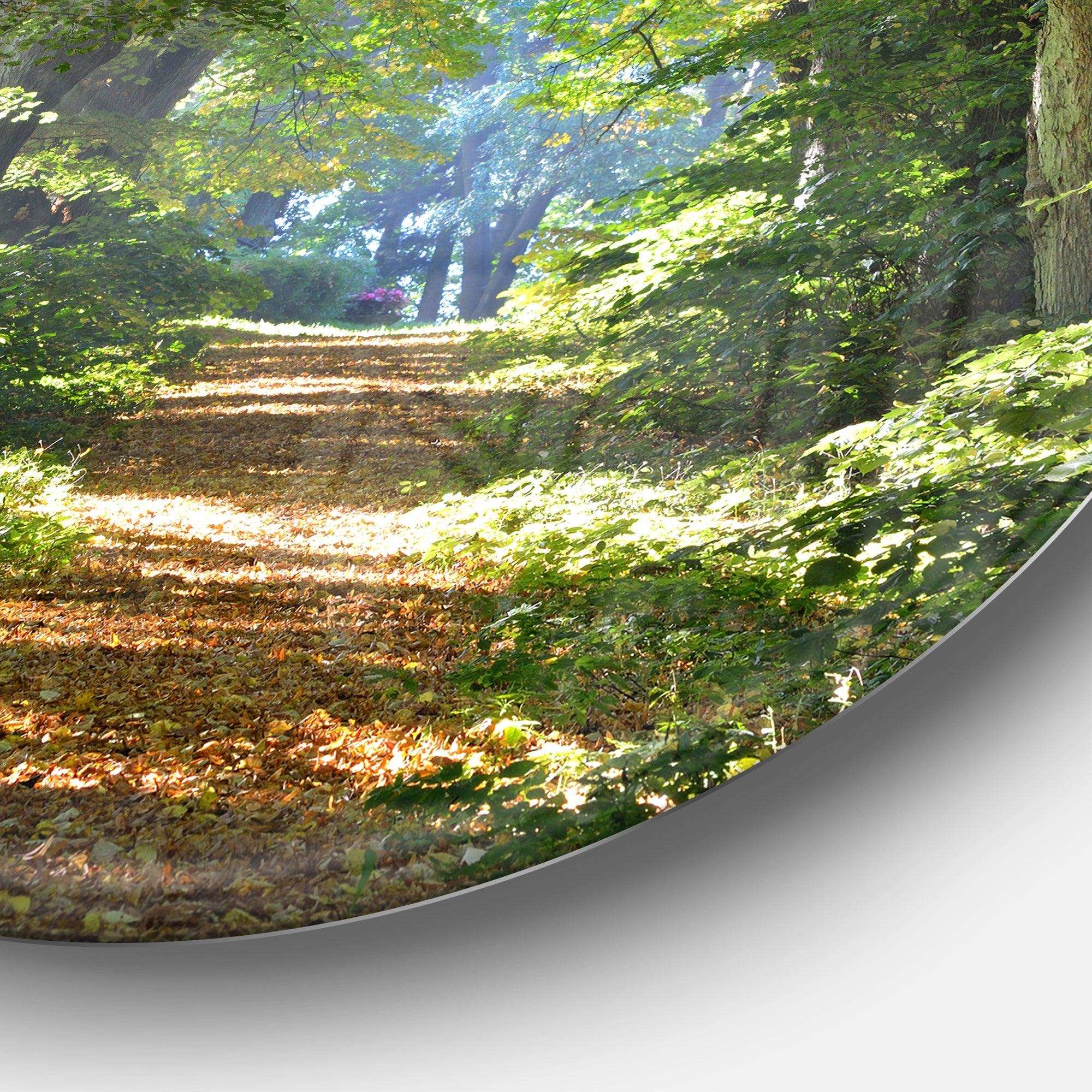 Bright Green Forest in Morning - Landscape Circle Metal Wall Decor