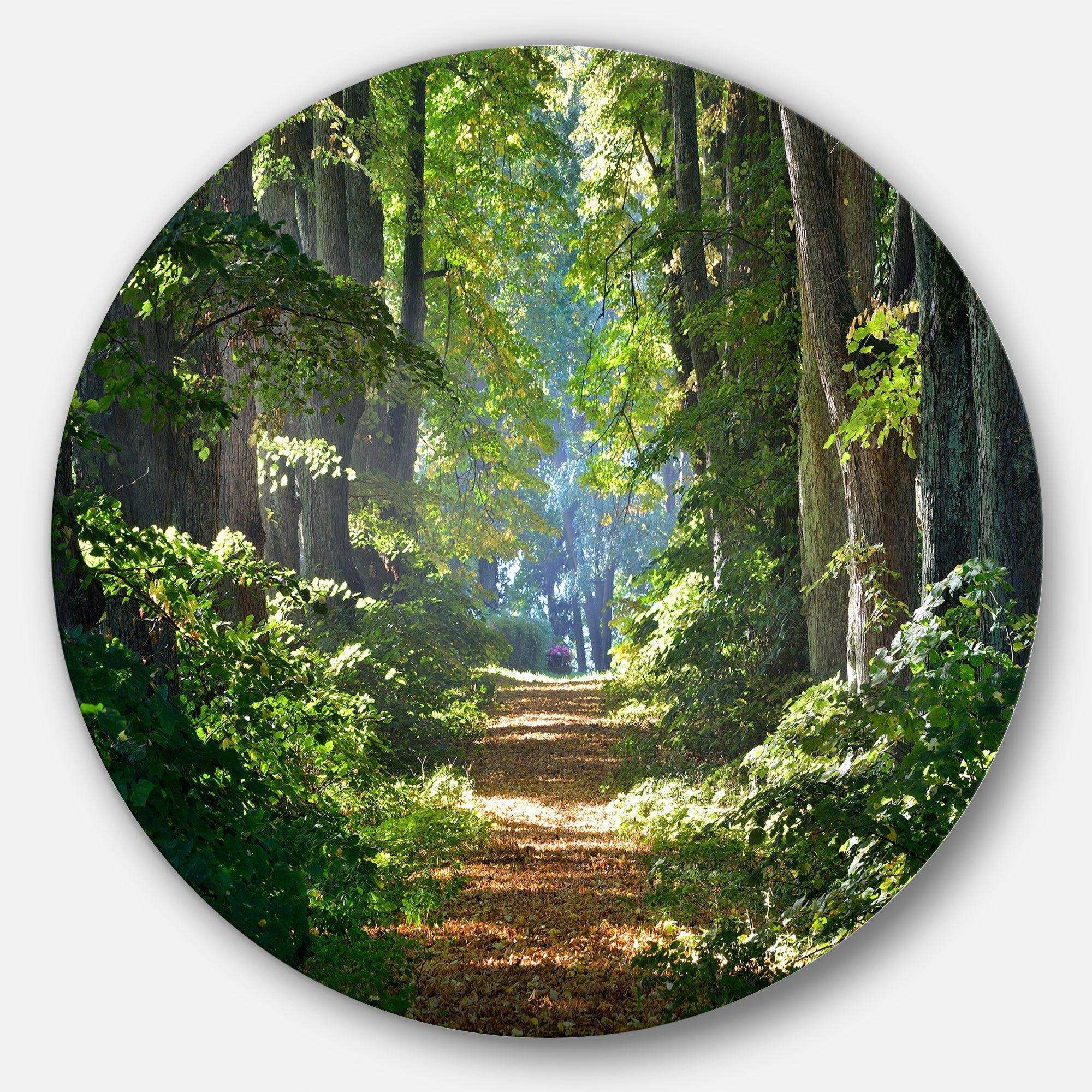 Bright Green Forest in Morning - Landscape Circle Metal Wall Decor