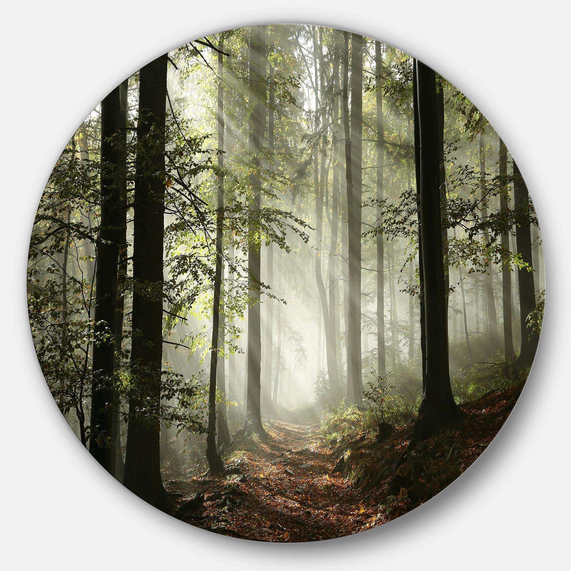 Light in Dense Fall Forest with Fog - Landscape Large Metal Circle Wall Art