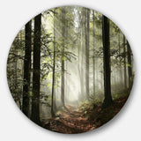 Light in Dense Fall Forest with Fog - Landscape Large Metal Circle Wall Art
