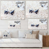 Baby Green Turtles on Sand - Animal Wall Art Print