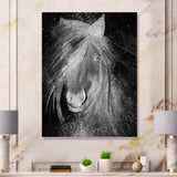 Farmhouse Horse VI - Canvas Wall Art